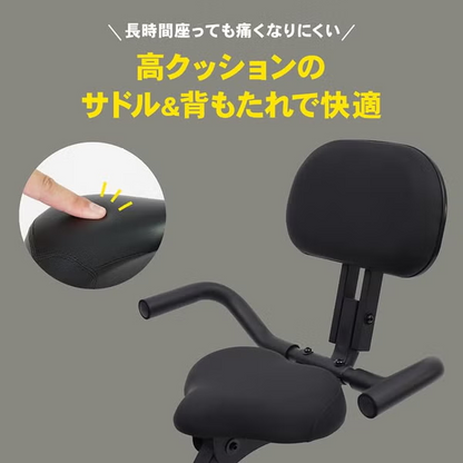 STEADY（ステディ）フィットネスバイク(バンド付き、マット無し) ST143 st143-g   【90％分返金保証付】新品