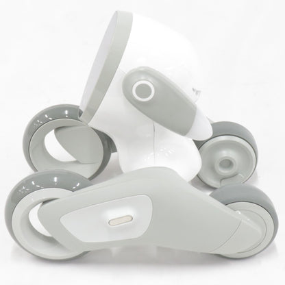 [中古(C)] Loona Japan Loona Blue ペットロボット loonablue loonablue　[可]