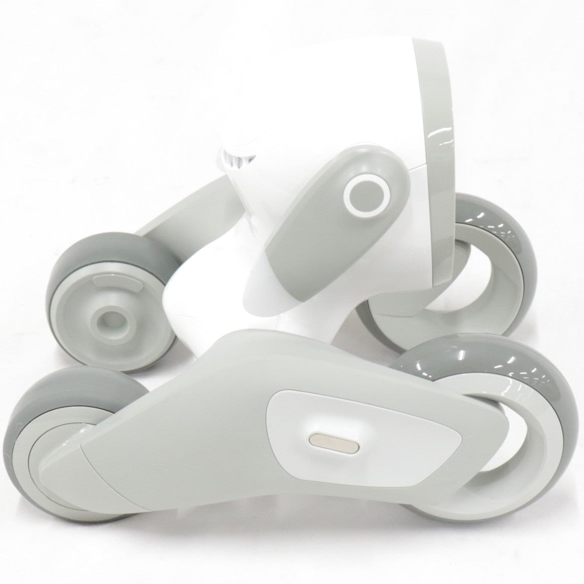 [中古(C)] Loona Japan Loona Blue ペットロボット loonablue loonablue　[可]