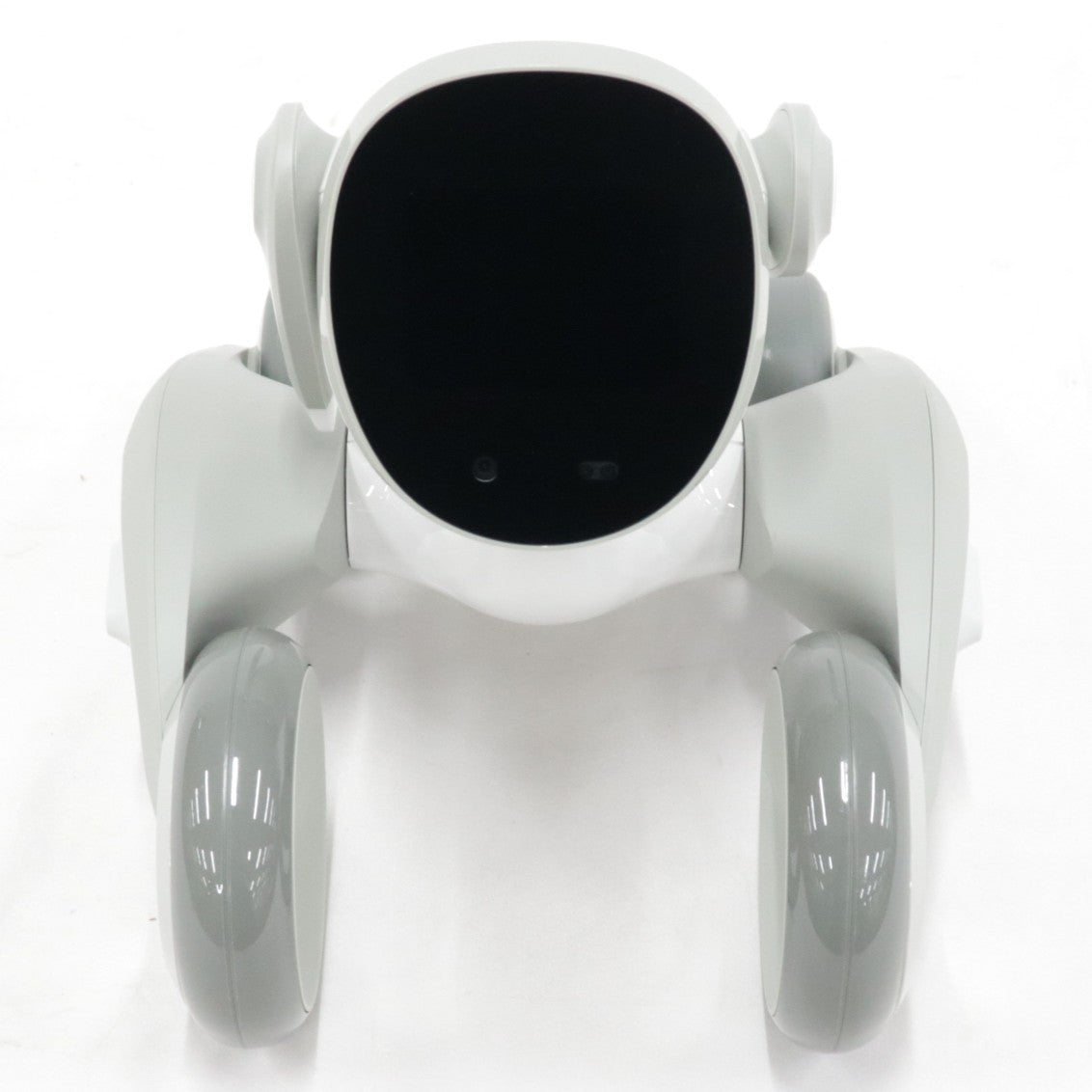 [中古(C)] Loona Japan Loona Blue ペットロボット loonablue loonablue　[可]