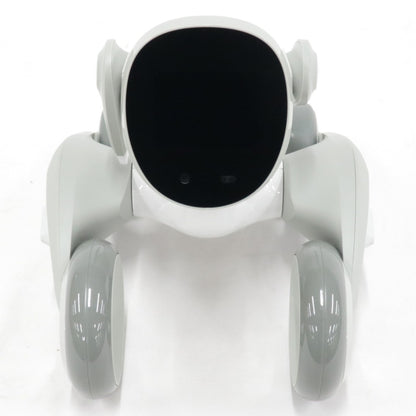 [中古(C)] Loona Japan Loona Blue ペットロボット loonablue loonablue　[可]