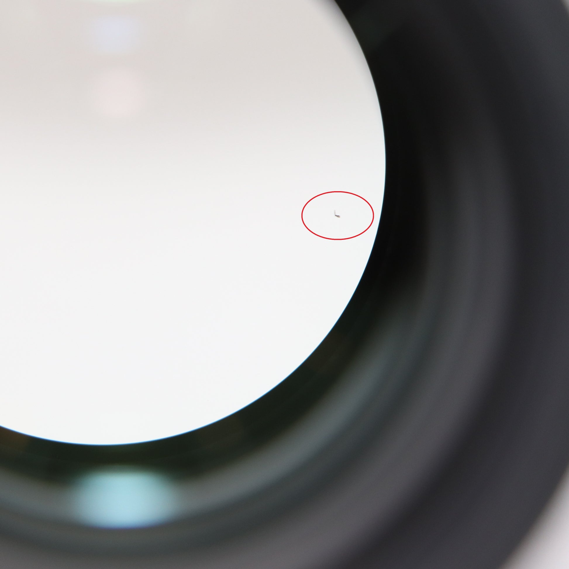 中古(B)] CANON EF 85mm F1.4L IS USM 単焦点レンズ ef85-f14l [良い  