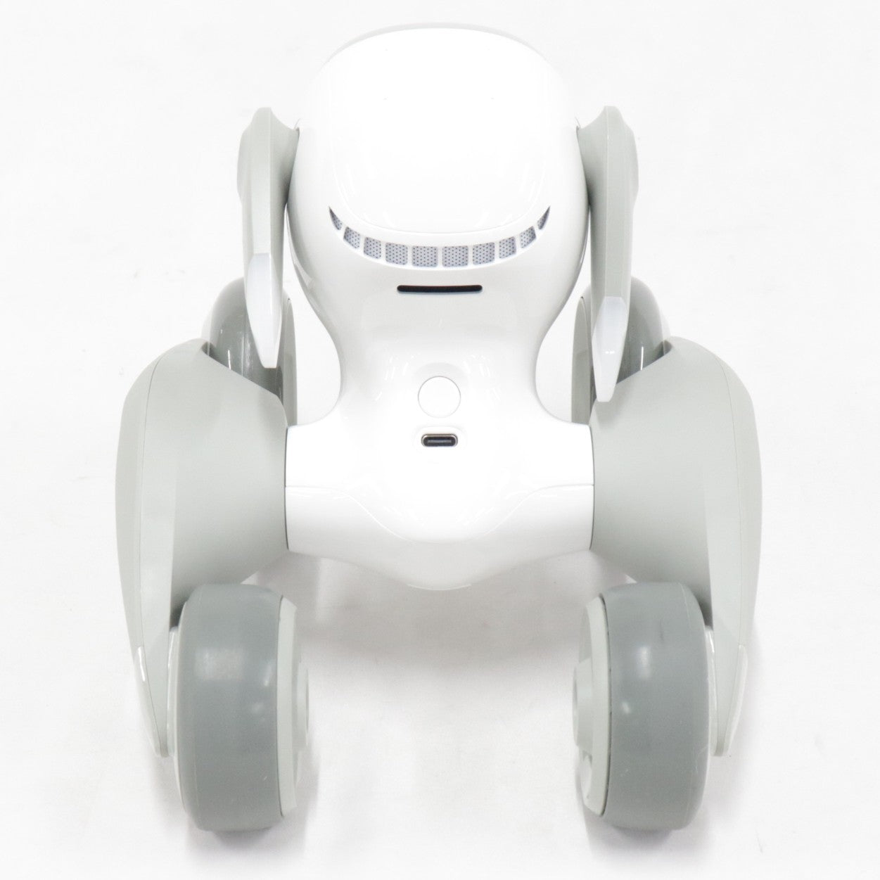 [中古(C)] Loona Japan Loona Blue ペットロボット loonablue loonablue　[可]