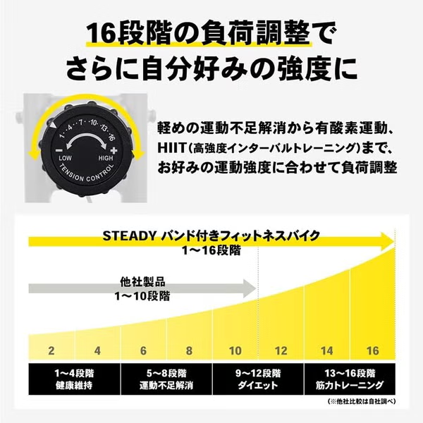 STEADY（ステディ）フィットネスバイク(バンド付き、マット無し) ST143 st143-g   【90％分返金保証付】新品