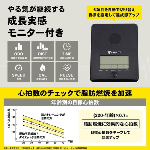 STEADY（ステディ）フィットネスバイク(バンド付き、マット無し) ST143 st143-g   【90％分返金保証付】新品
