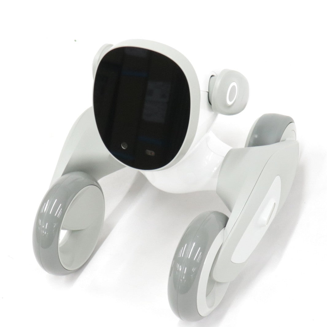 [中古(C)] Loona Japan Loona Blue ペットロボット loonablue loonablue　[可]