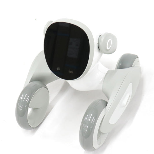 [中古(C)] Loona Japan Loona Blue ペットロボット loonablue loonablue　[可]