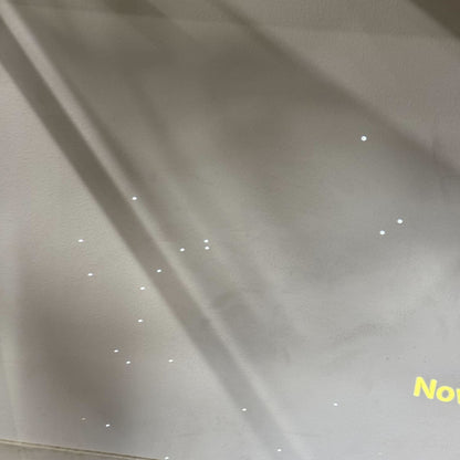 [ジャンク] Aladdin X2 Plus シーリングプロジェクター pa2p22u02dj [難あり(D)]