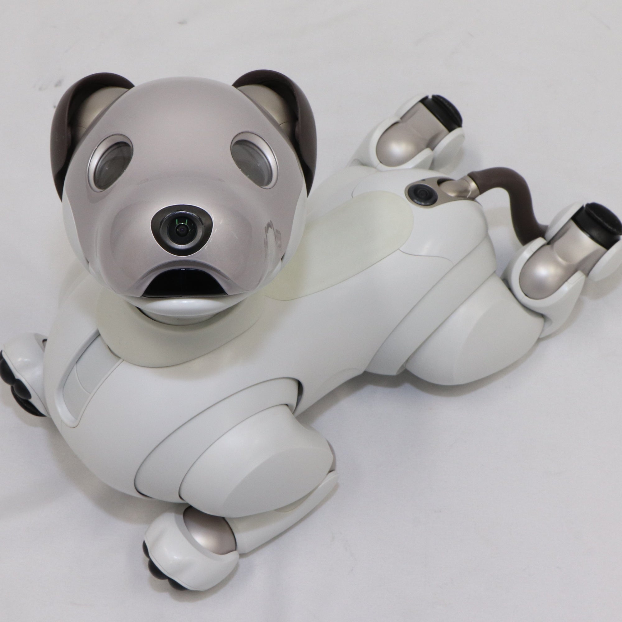 [中古(C)] ソニー エンタテインメントロボット aibo アイボリーホワイト aibo　[可]