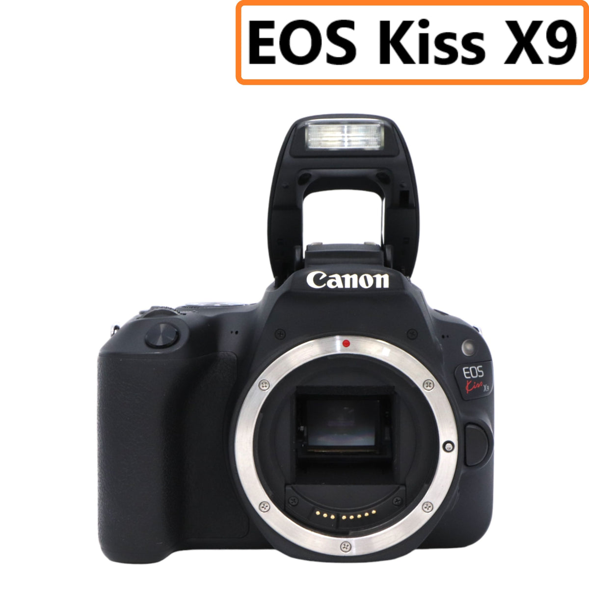 CANON EOS kiss X9i 中古の美品 - デジタル一眼